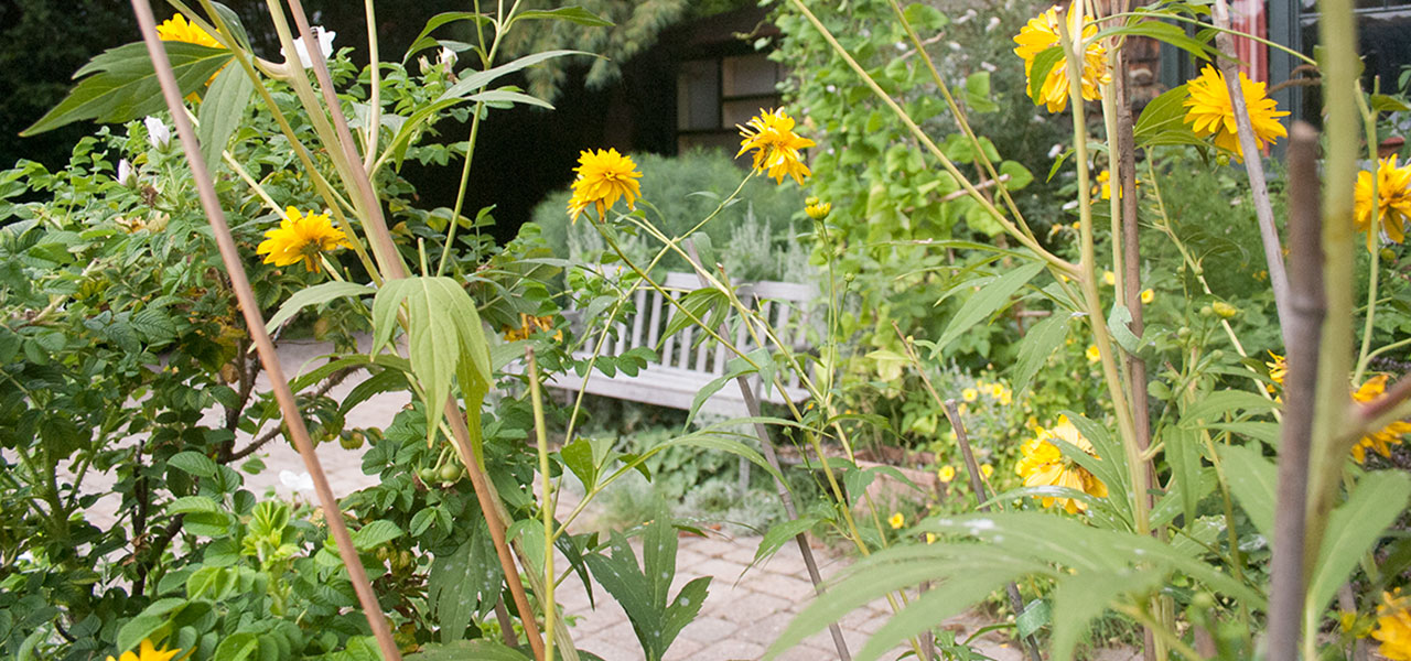 Arbor House Bed and Breakfast - Marblehead MA